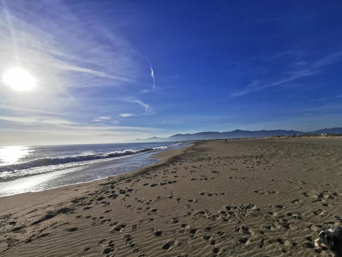 Appartement Climatise Vue Mer 208 Canet-en-Roussillon Exteriér fotografie