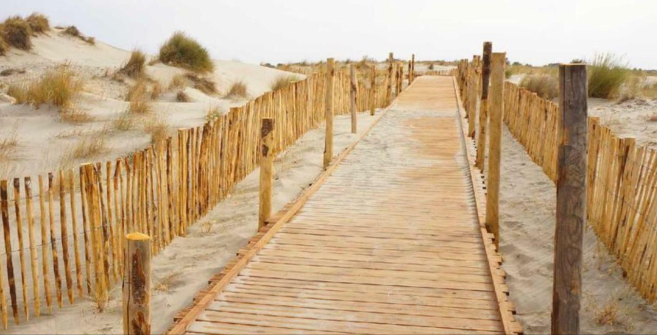 Appartement Climatise Vue Mer 208 Canet-en-Roussillon Exteriér fotografie